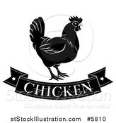Vector Illustration of a Black and White Chicken Banner and Hen by AtStockIllustration