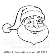 Vector Illustration of a Black and White Christmas Santa Claus Face by AtStockIllustration