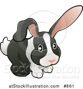 Vector Illustration of a Black and White Dutch Bunny Rabbit with Pink Ears by AtStockIllustration