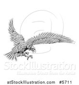 Vector Illustration of a Black and White Eagle Flying with Talons out by AtStockIllustration
