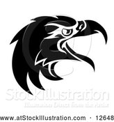 Vector Illustration of a Black and White Eagle Mascot Head by AtStockIllustration