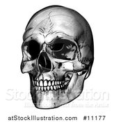 Vector Illustration of a Black and White Engraved Human Skull by AtStockIllustration