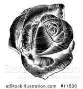 Vector Illustration of a Black and White Engraved Rose by AtStockIllustration