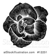 Vector Illustration of a Black and White Engraved Rose Flower by AtStockIllustration