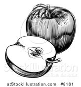 Vector Illustration of a Black and White Engraved Whole and Halved Apple by AtStockIllustration