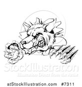 Vector Illustration of a Black and White Ferocious Wolf Slashing and Breaking Through a Wall 3 by AtStockIllustration