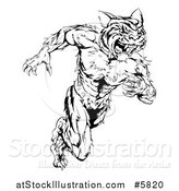 Vector Illustration of a Black and White Fierce Muscular Running Tiger Man Mascot by AtStockIllustration