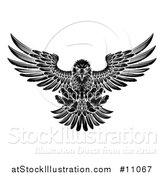 Vector Illustration of a Black and White Fierce Swooping Bald Eagle with Talons Extended, Flying Forward by AtStockIllustration