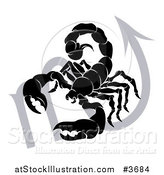 Vector Illustration of a Black and White Horoscope Zodiac Astrology Scorpio Scorpion and Sybmol by AtStockIllustration