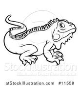 Vector Illustration of a Black and White Iguana Lizard by AtStockIllustration