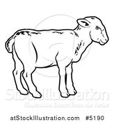 Vector Illustration of a Black and White Lamb in Profile by AtStockIllustration