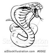 Vector Illustration of a Black and White Lineart Angry King Cobra Snake Ready to Strike by AtStockIllustration