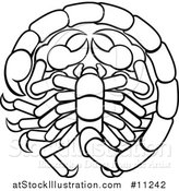 Vector Illustration of a Black and White Lineart Scorpio Scorpion Astrology Zodiac Horoscope by AtStockIllustration