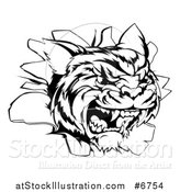 Vector Illustration of a Black and White Mad Tiger Mascot Head Breaking Through a Wall by AtStockIllustration