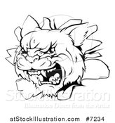 Vector Illustration of a Black and White Mad Wildcat Mascot Head Breaking Through a Wall by AtStockIllustration
