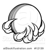 Vector Illustration of a Black and White Monster or Eagle Claws Holding a Cricket Ball by AtStockIllustration