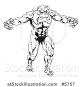 Vector Illustration of a Black and White Muscular Bulldog Man Mascot Attacking by AtStockIllustration