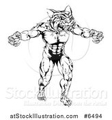 Vector Illustration of a Black and White Muscular Fierce Tiger Man Attacking by AtStockIllustration