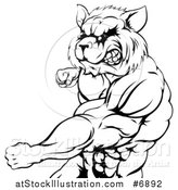 Vector Illustration of a Black and White Muscular Raccoon Man Mascot Punching from the Hips up by AtStockIllustration