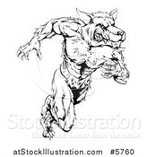 Vector Illustration of a Black and White Muscular Wolf Man Running Upright by AtStockIllustration