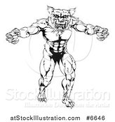 Vector Illustration of a Black and White Muscular Wolf Mascot Standing in a Threatening Stance by AtStockIllustration