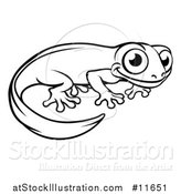 Vector Illustration of a Black and White Newt or Salamander by AtStockIllustration
