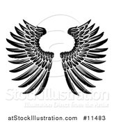 Vector Illustration of a Black and White Pair of Feathered Wings by AtStockIllustration