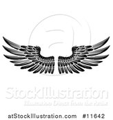 Vector Illustration of a Black and White Pair of Feathered Wings by AtStockIllustration