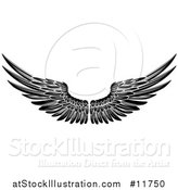 Vector Illustration of a Black and White Pair of Feathered Wings by AtStockIllustration