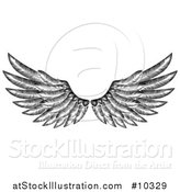 Vector Illustration of a Black and White Pair of Feathered Wings in Woodcut Style by AtStockIllustration