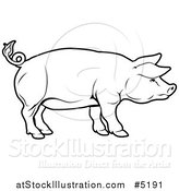 Vector Illustration of a Black and White Pig in Profile by AtStockIllustration