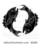 Vector Illustration of a Black and White Pisces Zodiac Astrology Fish by AtStockIllustration