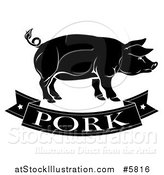 Vector Illustration of a Black and White Pork Banner and Pig by AtStockIllustration