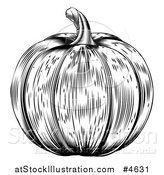 Vector Illustration of a Black and White Pumpkin by AtStockIllustration
