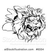 Vector Illustration of a Black and White Roaring Angry Lion Head Breaking Through a Wall by AtStockIllustration