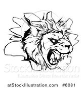Vector Illustration of a Black and White Roaring Lion Head Breaking Through a Wall by AtStockIllustration