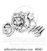Vector Illustration of a Black and White Roaring Lion Mascot Shredding Through a Wall by AtStockIllustration
