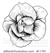 Vector Illustration of a Black and White Rose Flower in Woodcut Style by AtStockIllustration