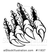 Vector Illustration of a Black and White Sharp Claws Shredding Through Metal by AtStockIllustration