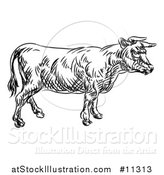 Vector Illustration of a Black and White Sketched Cow in Profile by AtStockIllustration