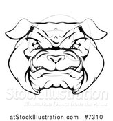 Vector Illustration of a Black and White Snarling Bulldog Face by AtStockIllustration