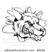 Vector Illustration of a Black and White Snarling Wolf Mascot Head Breaking Through a Wall by AtStockIllustration
