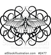 Vector Illustration of a Black and White Swirl Butterfly by AtStockIllustration