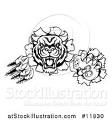 Vector Illustration of a Black and White Tiger Mascot Shredding Through a Wall and Holding a Video Game Controller by AtStockIllustration