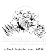 Vector Illustration of a Black and White Vicious Aggressive Bear Mascot Slashing Through a Wall by AtStockIllustration