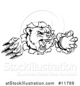 Vector Illustration of a Black and White Vicious Bear Mascot Slashing Through a Wall with a Cricket Ball in a Paw by AtStockIllustration