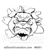 Vector Illustration of a Black and White Vicious Bulldog Breaking Through a Wall by AtStockIllustration