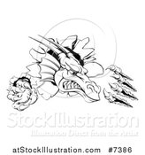 Vector Illustration of a Black and White Vicious Dragon Mascot Head Shredding Through a Wall 2 by AtStockIllustration