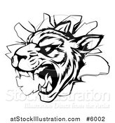 Vector Illustration of a Black and White Vicious Tiger Mascot Breaking Through a Wall by AtStockIllustration