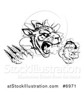 Vector Illustration of a Black and White Vicious Tiger Mascot Slashing Through a Wall by AtStockIllustration